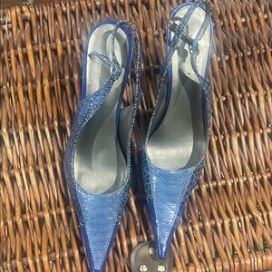 Women’s Pointed Toe Slingback Heels in Deep Blue